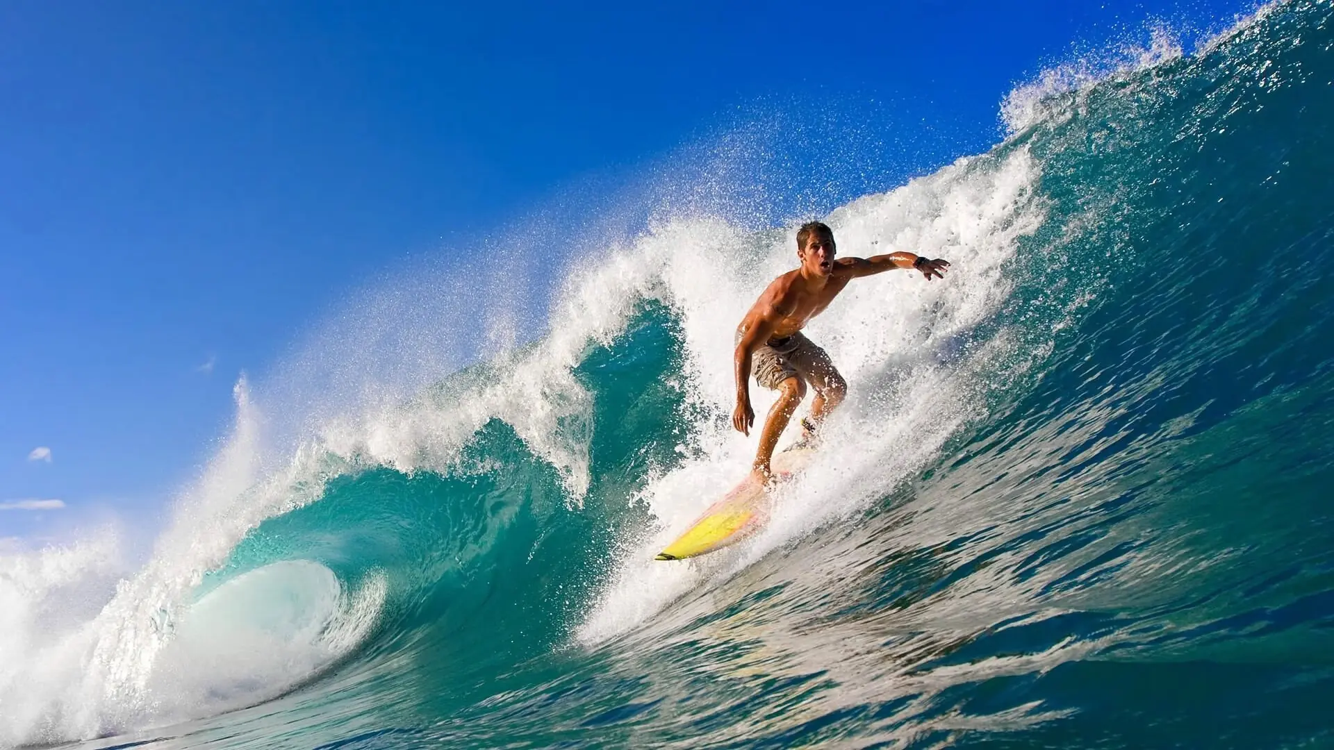 赛场外紧张刺激：明星篮球比赛的花絮与幕后故事，明星篮球赛是什么综艺